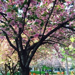 Meet your Posher, Sharon